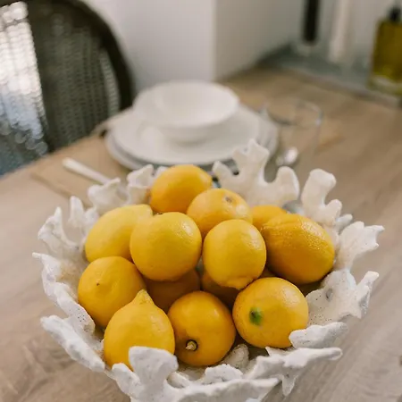 Sani Aquatic With Private Garden *